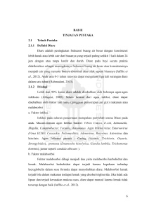 BAB II TINJAUAN PUSTAKA 2.1 Telaah Pustaka 2.1.1