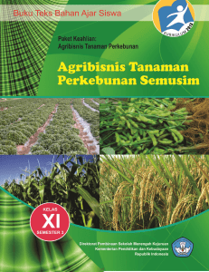 agribisnis tanaman perkebunan semusim xi-3