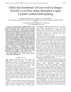 Efektivitas Kombinasi Salvinia molesta dengan Hydrilla verticillata