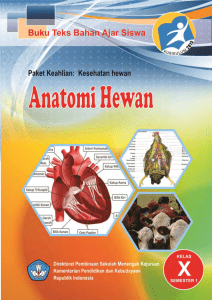 Anatomi Hewan 1 - Buku Sekolah Digital
