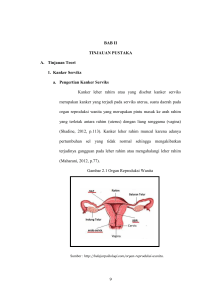 9 BAB II TINJAUAN PUSTAKA A. Tinjauan Teori 1. Kanker Serviks a