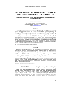 isolasi lactobacillus, bakteri asam laktat dari feses dan organ