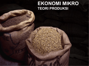 ekonomi mikro teori produksi