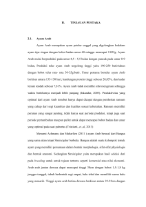 II. TINJAUAN PUSTAKA 2.1. Ayam Arab Ayam Arab merupakan