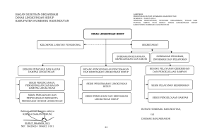 BAGAN SUSUNAN ORGANISASI DINAS LINGKUNGAN HIDUP