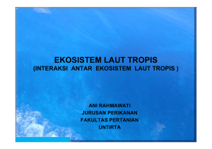 ekosistem laut tropis