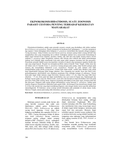 ekinokokosis/hidatidosis, suatu zoonosis parasit cestoda penting