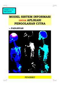 model sistem informasi untuk aplikasi pengolahan citra
