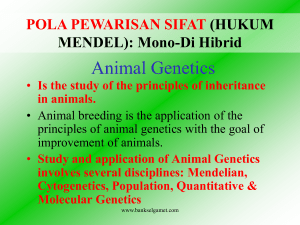 Animal Genetics - Bank Sel Gamet Ternak Lokal Indonesia