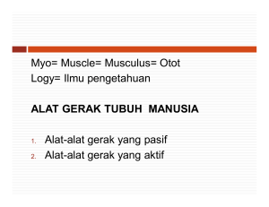 Myo= Muscle= Musculus= Otot Logy= Ilmu pengetahuan