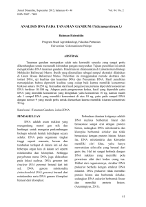 ANALISIS DNA PADA TANAMAN GANDUM