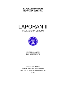 LAPORAN II