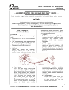 9003-biologi-bab-3-sistem-koordinasi-dan-alat-indra