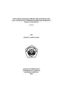 pengaruh aplikasi limbah cair kotoran sapi dan asam humat