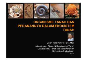 ORGANISME TANAH - Diyan Herdiyantoro