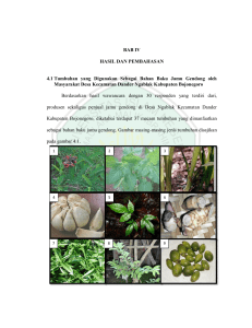 BAB IV HASIL DAN PEMBAHASAN 4.1 Tumbuhan yang Digunakan