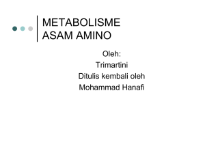 METABOLISME ASAM AMINO