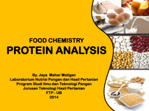 4. Analisis Protein