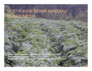 sertifikasi benih kentang di indonesia