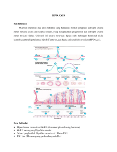 HPO AXIS