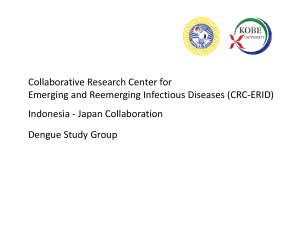 Japan Collaboration Dengue