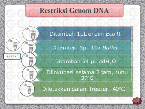 Restriksi Genom DNA