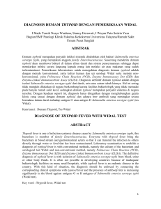 diagnosis demam thypoid dengan pemeriksaan