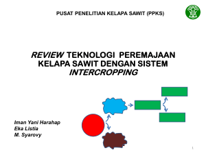 intercropping - Pusat Penelitian Kelapa Sawit