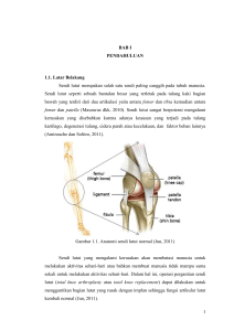 1 BAB I PENDAHULUAN 1.1. Latar Belakang Sendi lutut