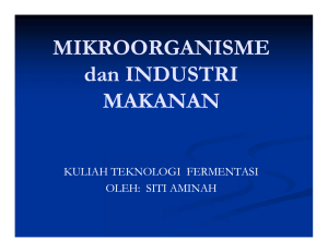 MIKROORGANISME DALAM INDUSTRI MAKANAN