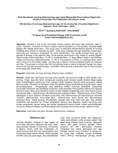 Studi Etnobotani Jernang (Daemonorops spp