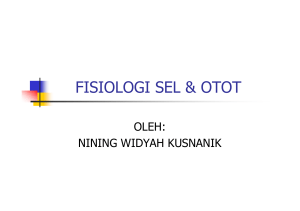 Sel dan Otot (Download) - Kunjung Ashadi Official Site