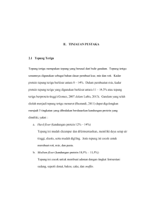 4 II. TINJAUAN PUSTAKA 2.1 Tepung Terigu Tepung terigu