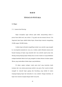 bab ii tinjauan pustaka