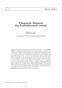 Patogenesis, Diagnosis dan Penatalaksanaan Antraks