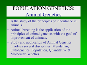 POPULATION GENETICS - Animal Genetics, Breeding