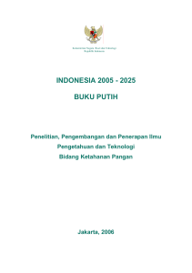 INDONESIA 2005 - 2025 BUKU PUTIH