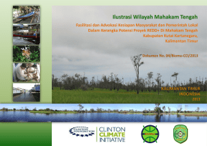 swamp peat forest in midle mahakam river