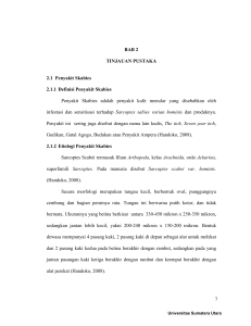 BAB 2 TINJAUAN PUSTAKA 2.1 Penyakit Skabies 2.1.1 Definisi