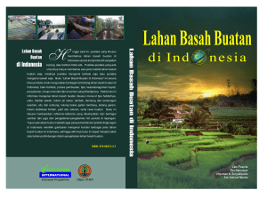LBasah Buatan (Isi) - Wetlands International works to sustain and