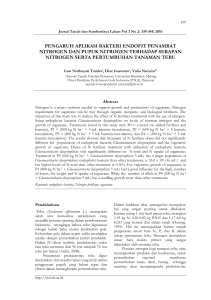 pengaruh aplikasi bakteri endofit penambat nitrogen dan pupuk