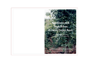 PDF - World Agroforestry Centre