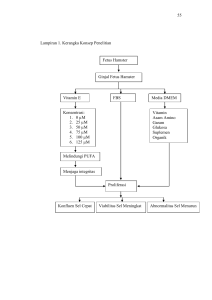 55 Lampiran 1. Kerangka Konsep Penelitian Fetus Hamster Ginjal