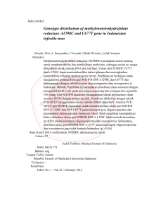 Genotype distribution of methylenetetrahydrofolate reductase