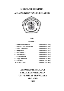 makalah biokimia asam nukleat - Blog UB