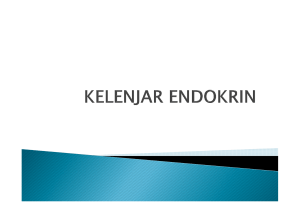 KELENJAR ENDOKRINx - Direktori File UPI