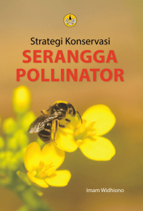 Strategi Konservasi Serangga Pollinator