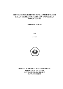 hubungan mikroflora dengan metabolisme dalam saluran