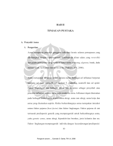 bab ii tinjauan pustaka