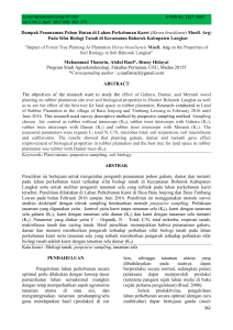 Dampak Penanaman Pohon Hutan di Lahan Perkebunan Karet